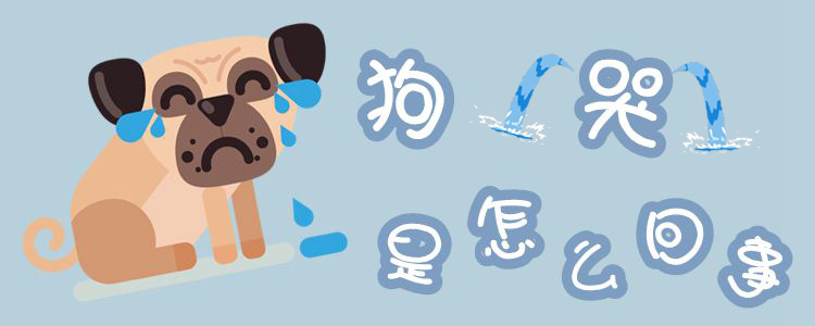 狗哭是什么问题
