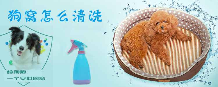 狗窝如何清洗