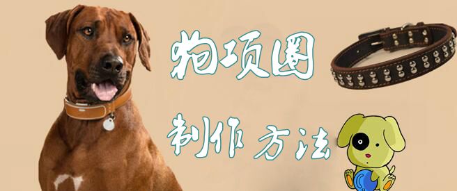 狗项圈做法