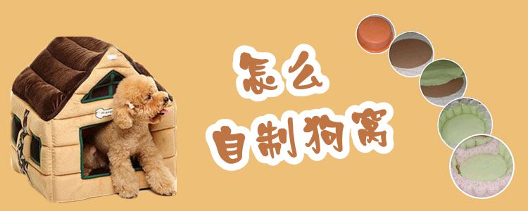 如何自制狗窝
