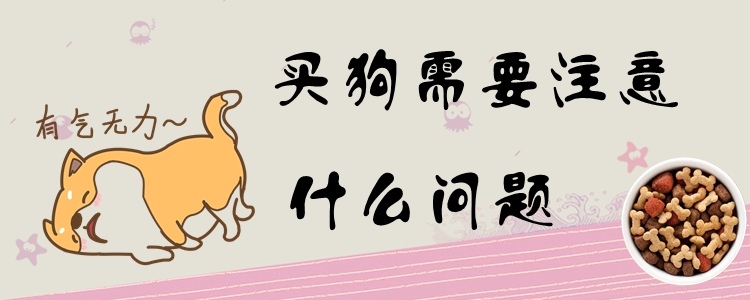 买狗应该注意那些问题