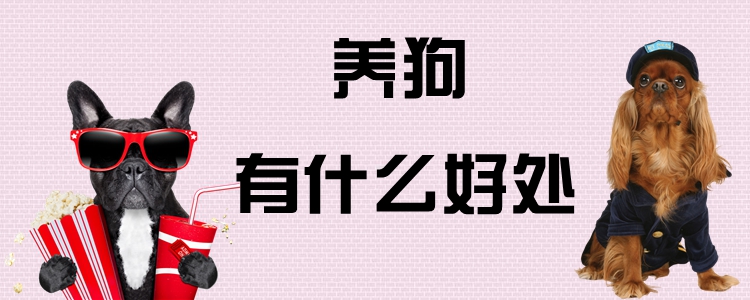 养狗有哪些好处