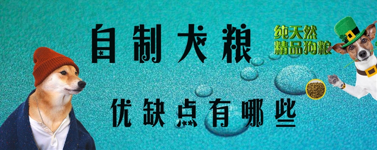 自制犬粮优势和弊端有什么