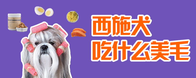 西施犬吃那些美毛