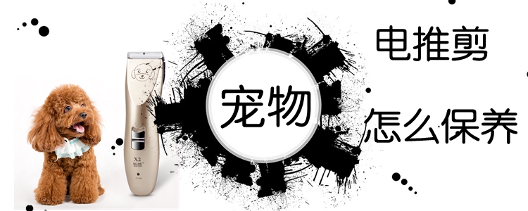 宠物电推剪如何保养