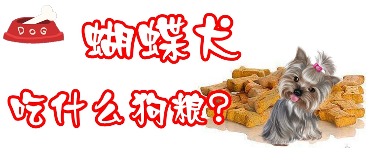 蝴蝶犬吃那些狗粮