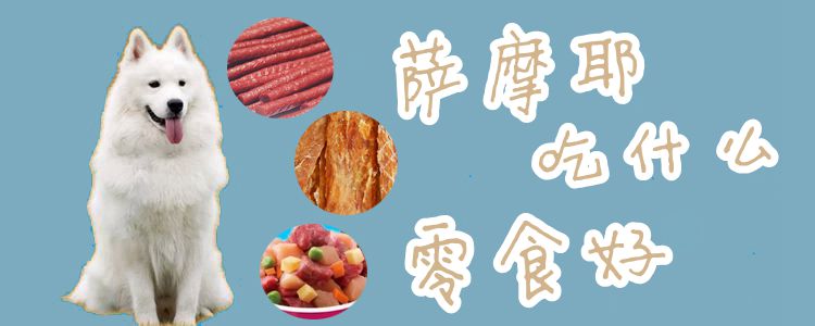 萨摩耶吃那些零食好