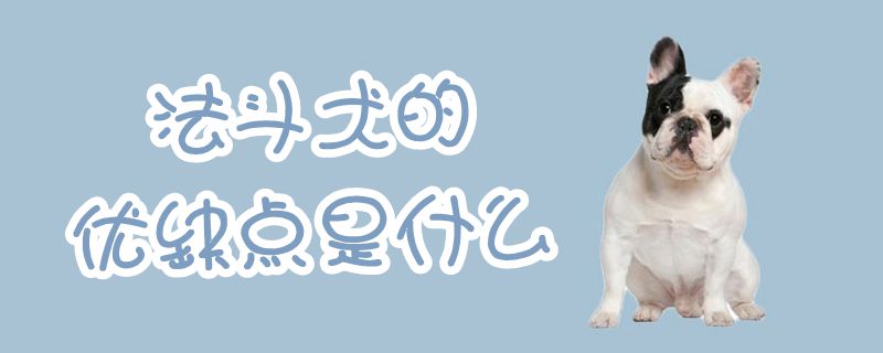 法斗犬的优势和弊端是什么