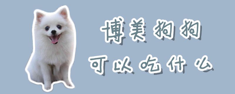 博美狗狗可以吃那些