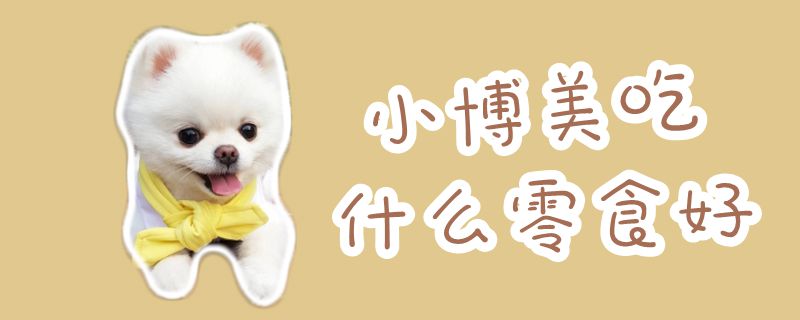 小博美吃那些零食好