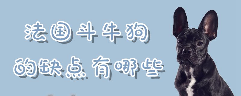 法国斗牛狗的缺点有什么