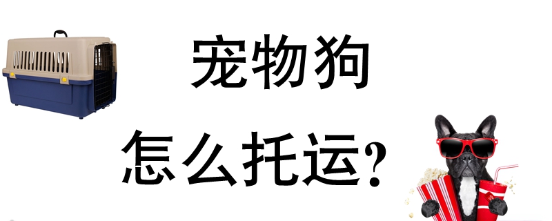 宠物狗如何托运