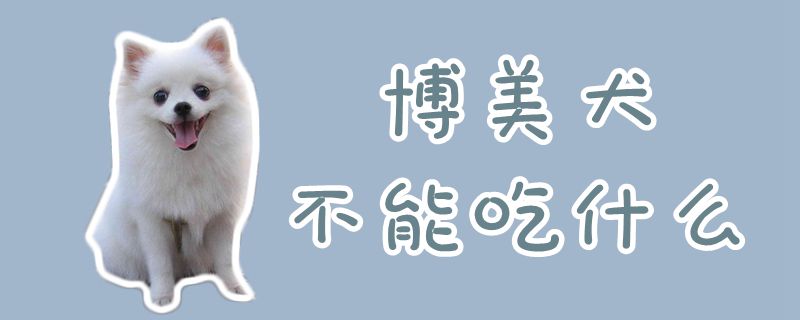 博美犬不可以吃那些