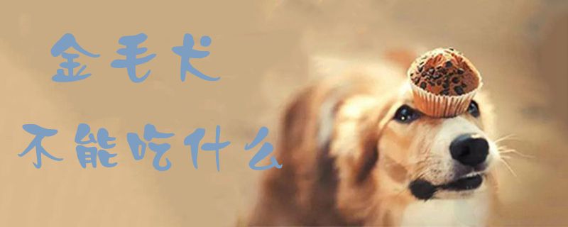 金毛犬不可以吃那些