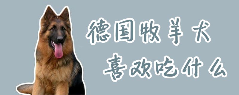 德国牧羊犬喜欢吃那些