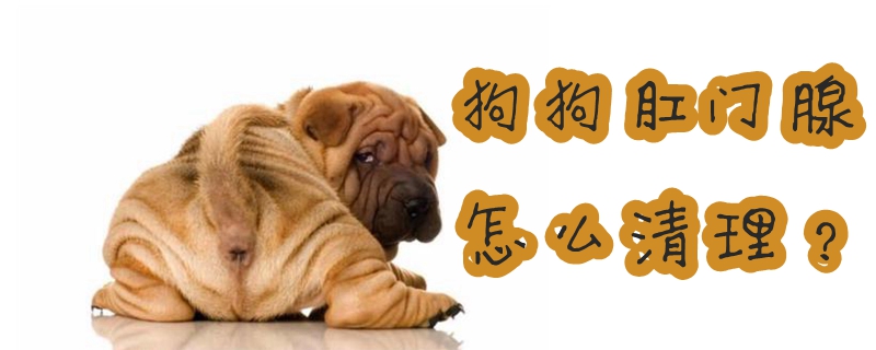 狗狗肛门腺如何清理