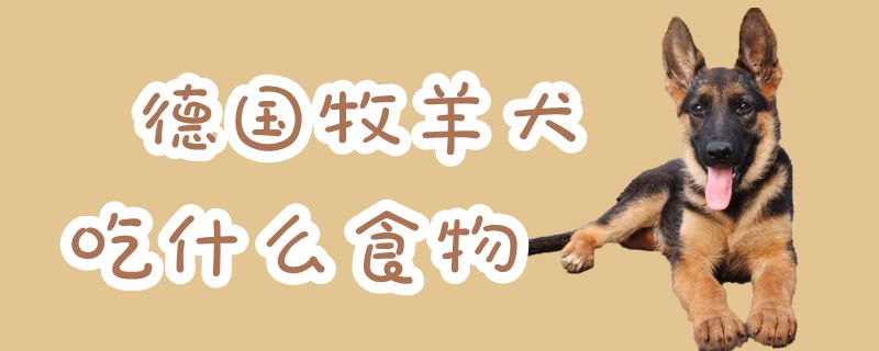 德国牧羊犬吃那些食物