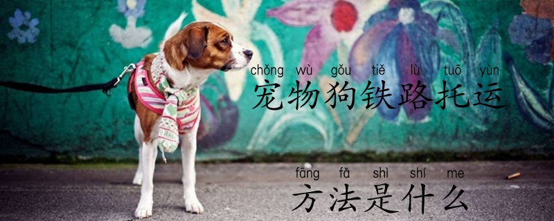宠物狗铁路托运办法是什么
