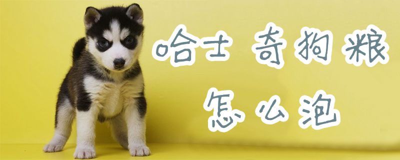 哈士奇狗粮如何泡