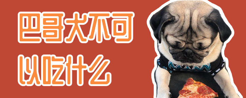巴哥犬不能吃那些