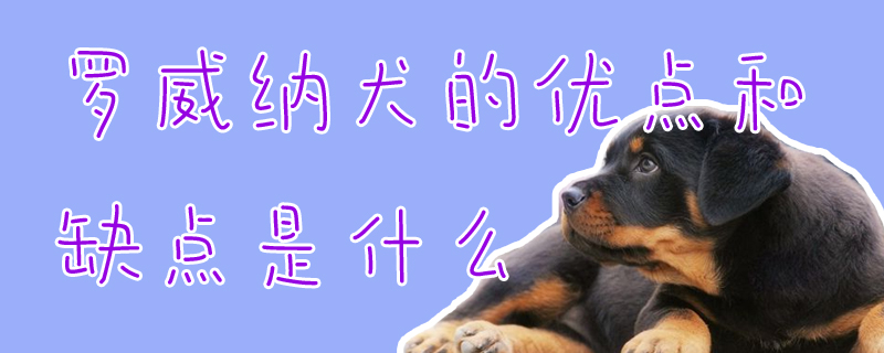 罗威纳犬的优缺点是什么