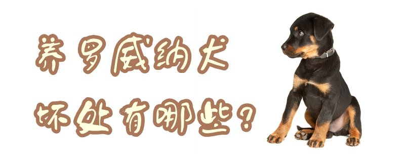 养罗威纳犬的坏处有什么