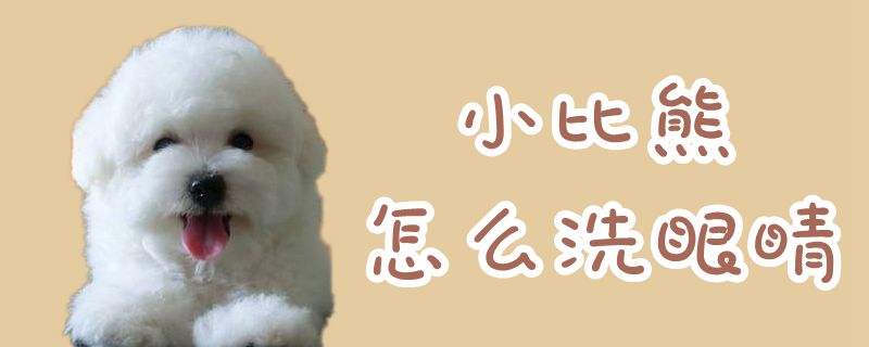 小比熊如何洗双眼
