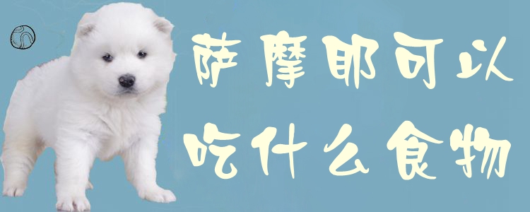 萨摩耶可以吃那些食物