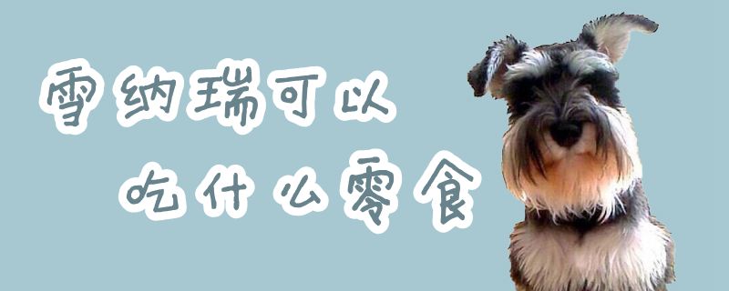 雪纳瑞可以吃那些零食