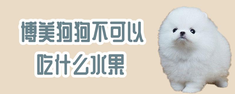 博美狗狗不能吃那些水果