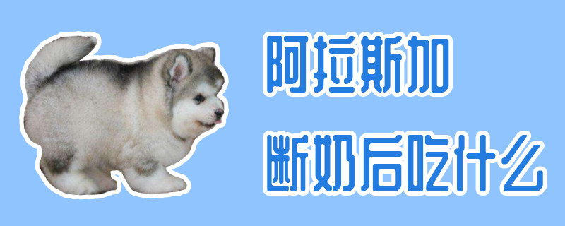 阿拉斯加断奶后吃那些