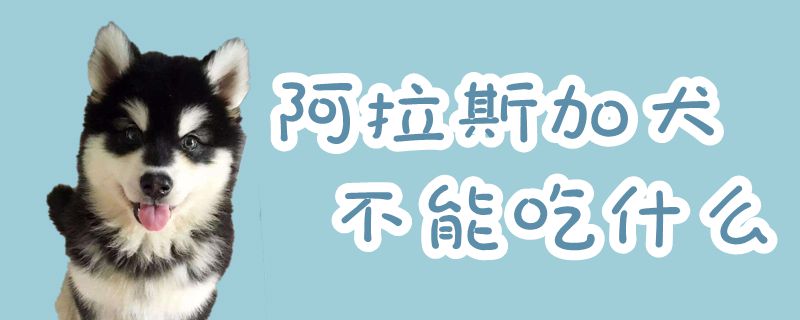 阿拉斯加犬不可以吃那些