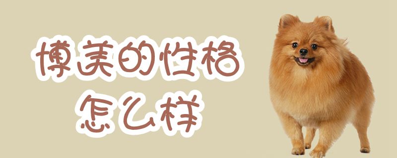 博美的性格特点如何