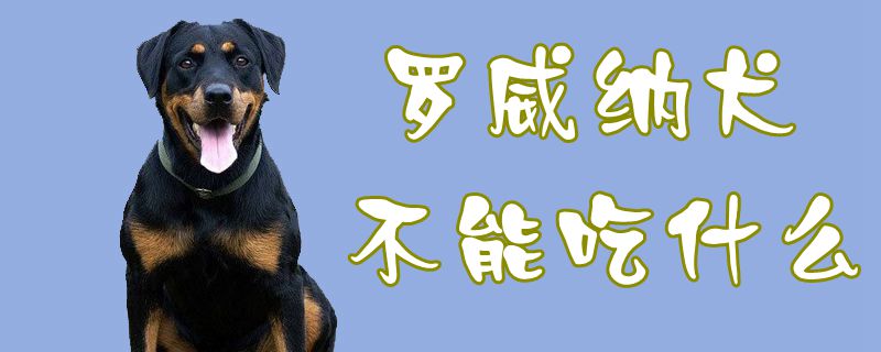 罗威纳犬不可以吃那些
