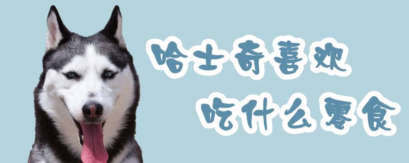 哈士奇喜欢吃那些零食