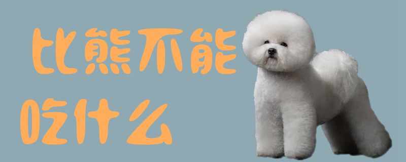 比熊不可以吃那些