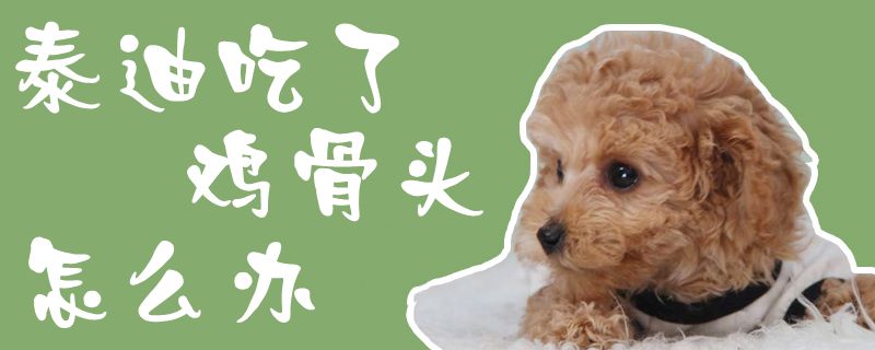 泰迪吃了鸡骨头如何解决