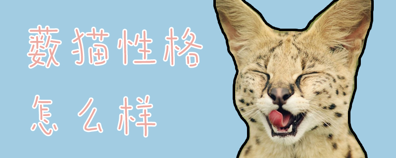 薮猫性格怎么样