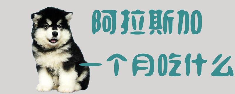阿拉斯加一个月吃那些