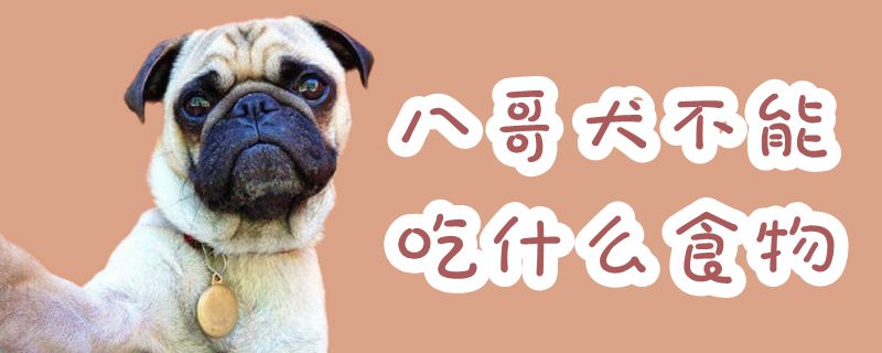 八哥犬不可以吃那些食物