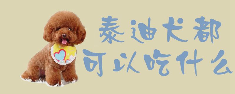 泰迪犬都可以吃那些