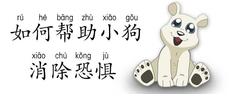 怎么样帮助小狗消除恐惧