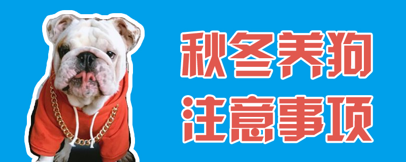 秋冬季节养狗需要注意的地方