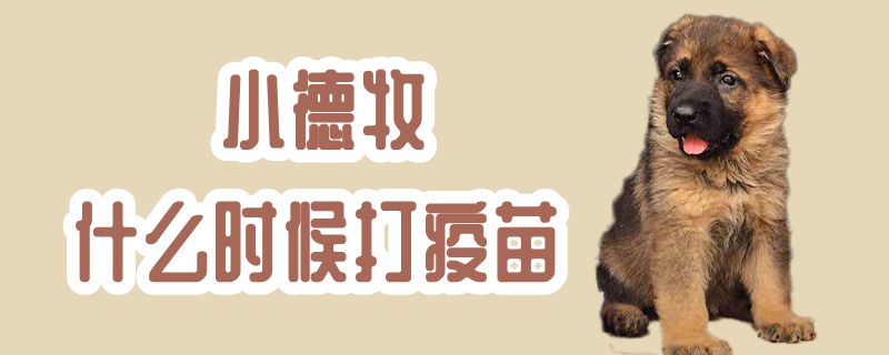 小德牧什么时间打疫苗