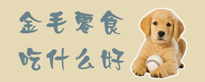 金毛零食吃那些好