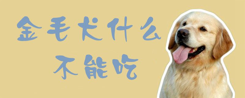 金毛犬什么不可以吃
