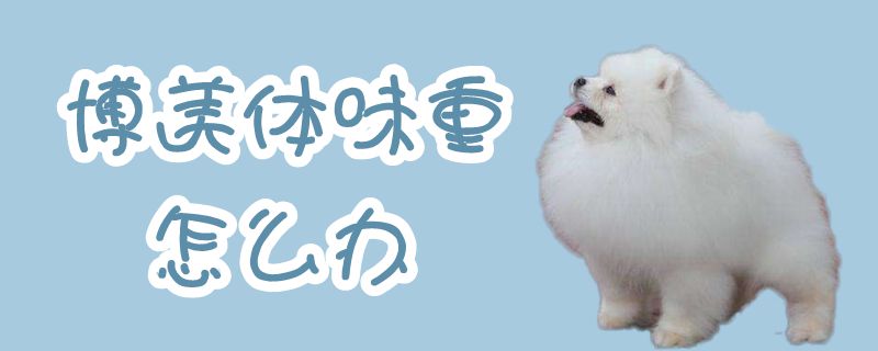 博美体味重如何解决