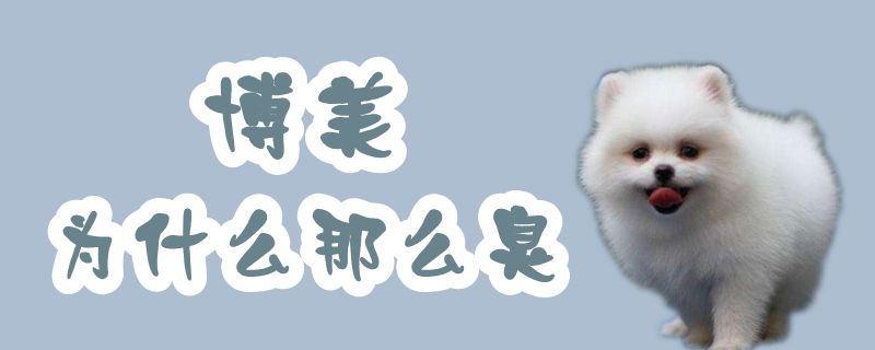 博美为何那样臭