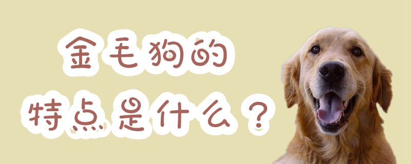 金毛狗的特点有哪些