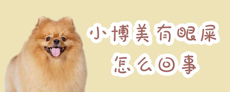 小博美有眼屎什么问题